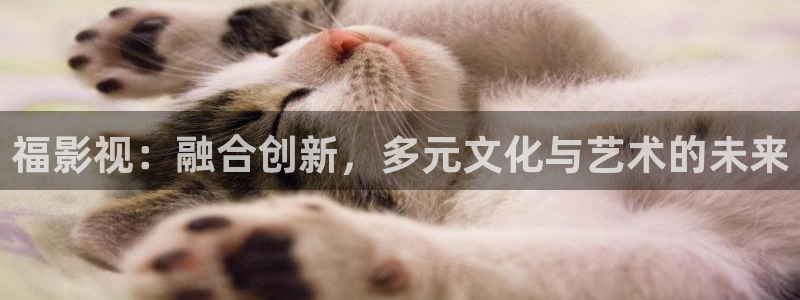 被窝影视电视剧免费观看电视剧大全：福影视：融合创新，多元文化与艺术的未来