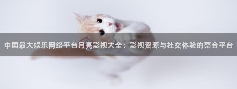 被窝影视app：中国最大娱乐网络平台月亮影视大全：影视资源与社交体验的整合平台