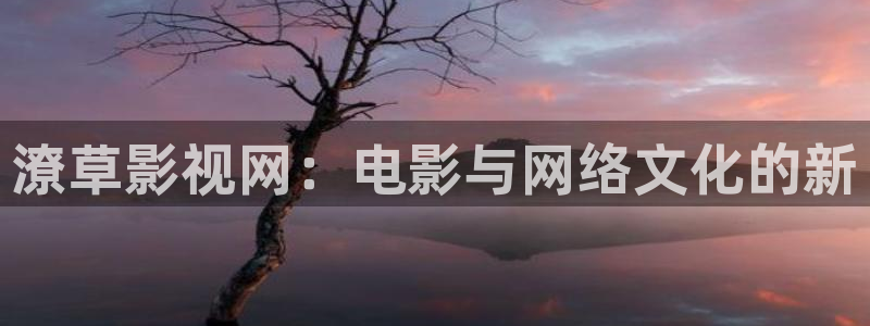 被窝午夜新影院：潦草影视网：电影与网络文化的新