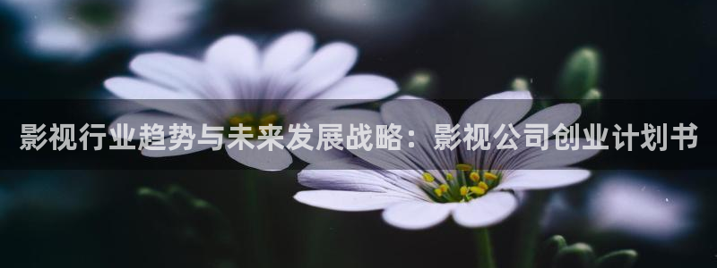被窝电影伦理网：影视行业趋势与未来发展战略：影视公司创业计划书
