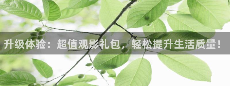 被窝福利影院亚洲：升级体验：超值观影礼包，轻松提升生活质量！