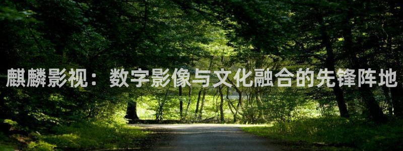 久久电影不卡影院被窝电影：麒麟影视：数字影像与文化融合的先锋阵地