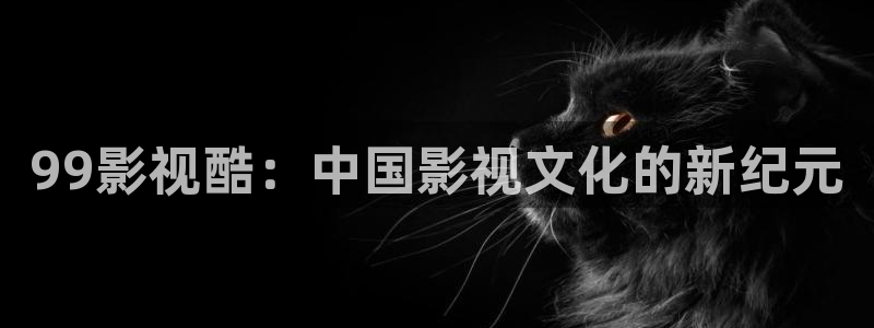 被窝电影网我不卡：99影视酷：中国影视文化的新纪元
