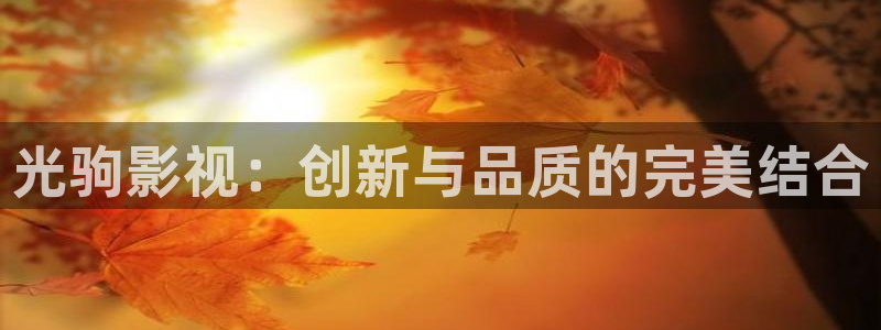被窝福利电影院合集：光驹影视：创新与品质的完美结合