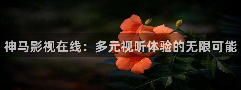 被窝影院九九影院手机在线观看：神马影视在线：多元视听体验的无限可能