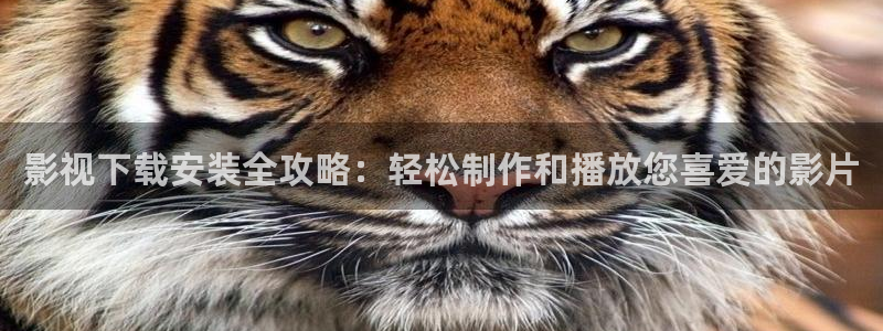 九九影院午夜理论片被窝电影网：影视下载安装全攻略：轻松制作和播放您喜爱的影片
